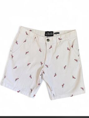 Raw Yarn Industries Men's Flamingo Print Stretch Twill Shorts - Size 30